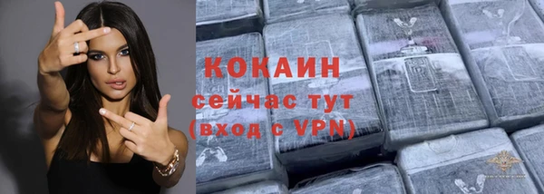 гашик Аркадак