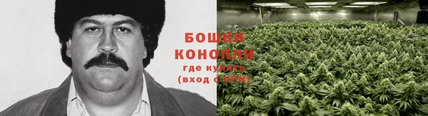 гашик Аркадак