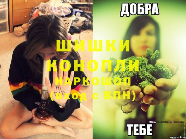 гашик Аркадак