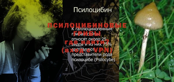 дурь Арсеньев